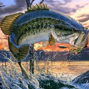 Meet your Posher, Weston